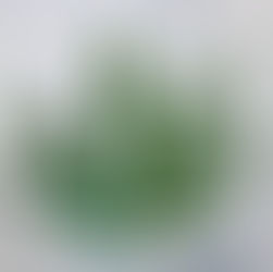 What to Know About Cannabis and the R&D Tax Credit