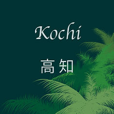 高知ハウオリーズ