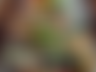 Nourishment is the Body’s Greatest Defense