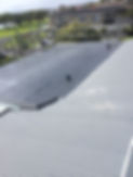 Photo1.JPG