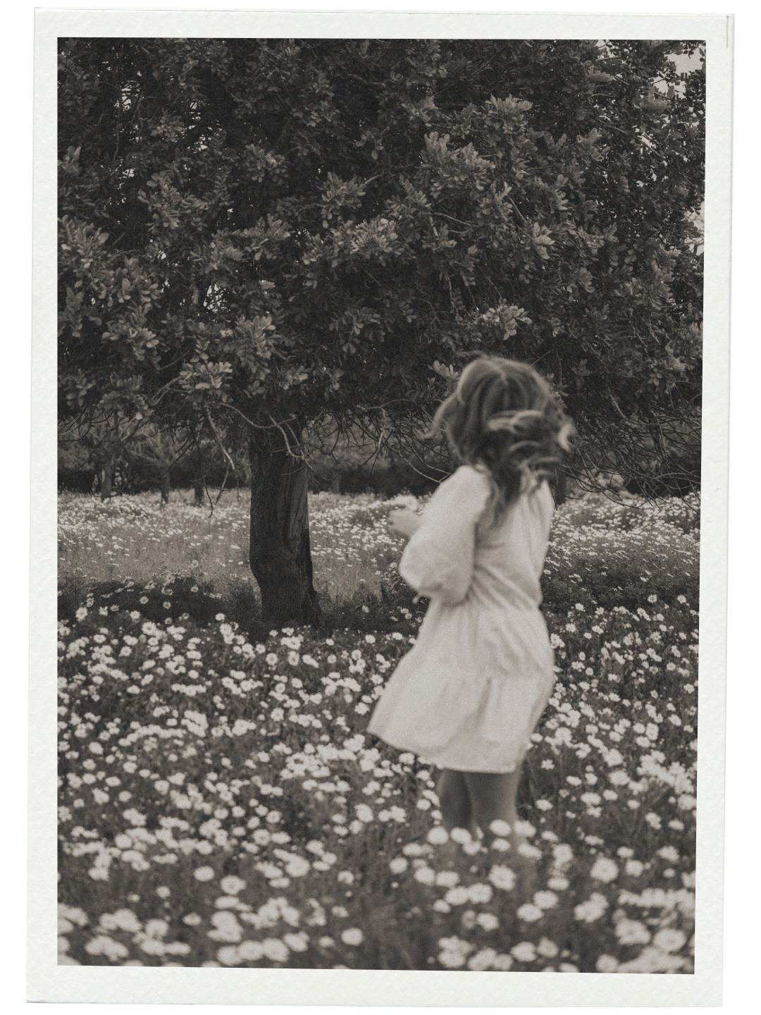 Ontwerp zonder titel-43.png