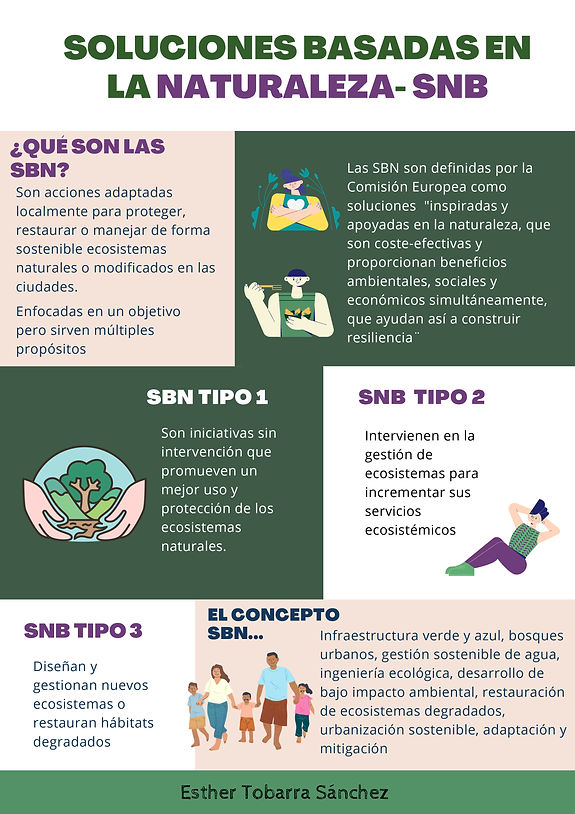 SBN poster (1)_page-0001.jpg
