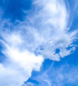 青空に白い龍が見えた日/ White Dragon Clouds In Summer