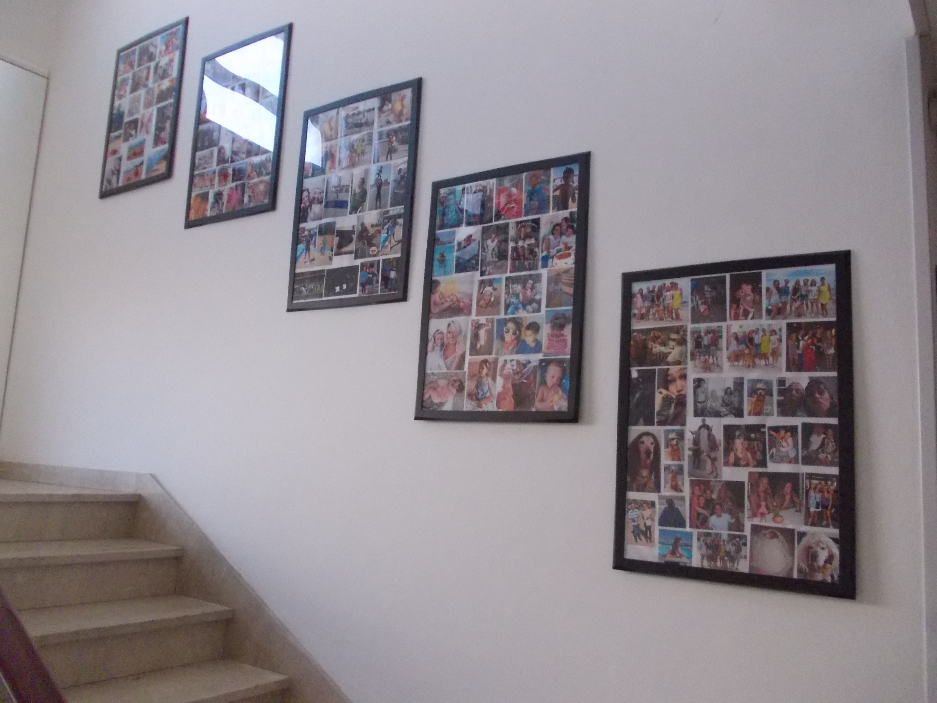 foto ospiti