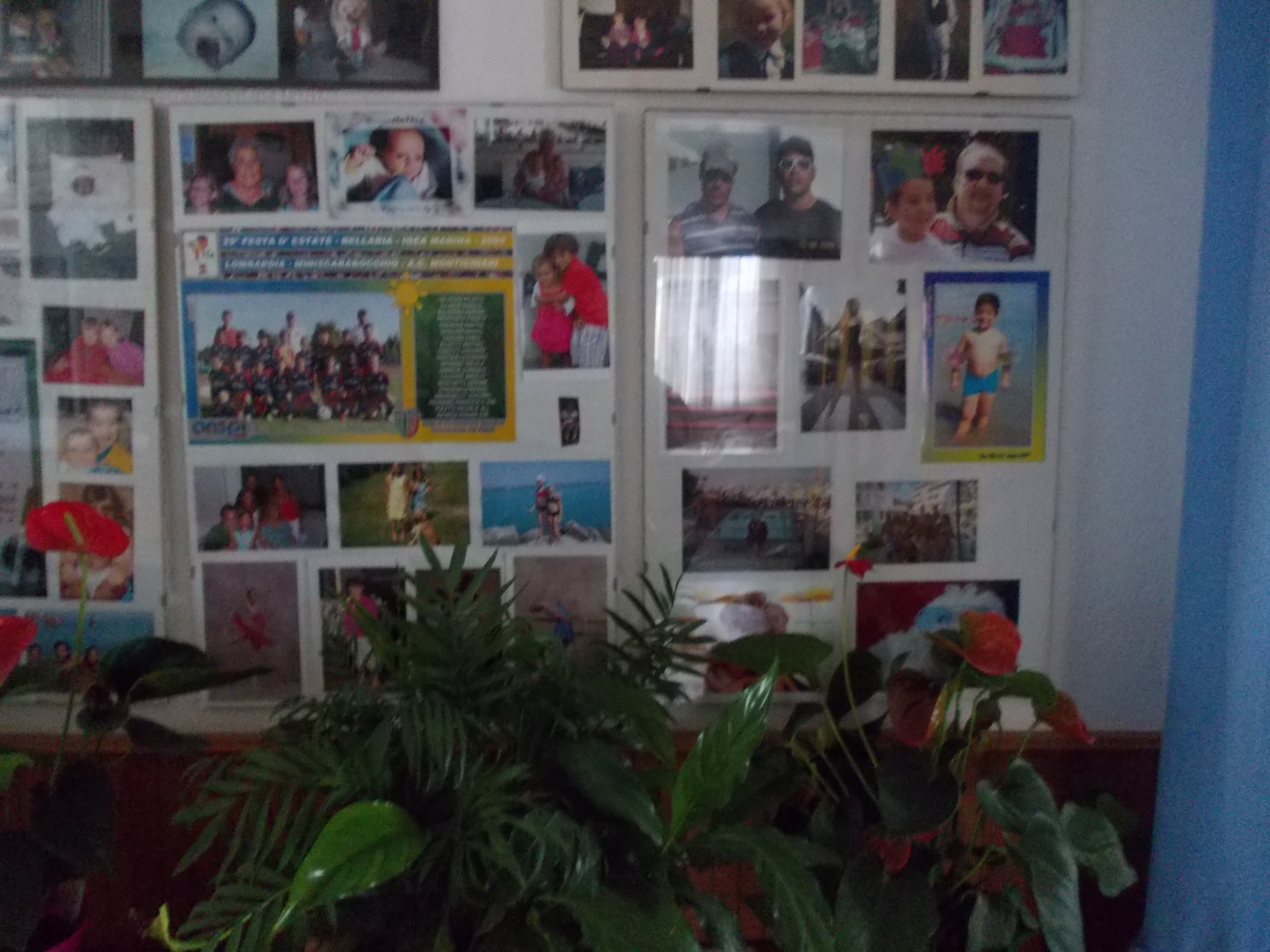 foto ospiti