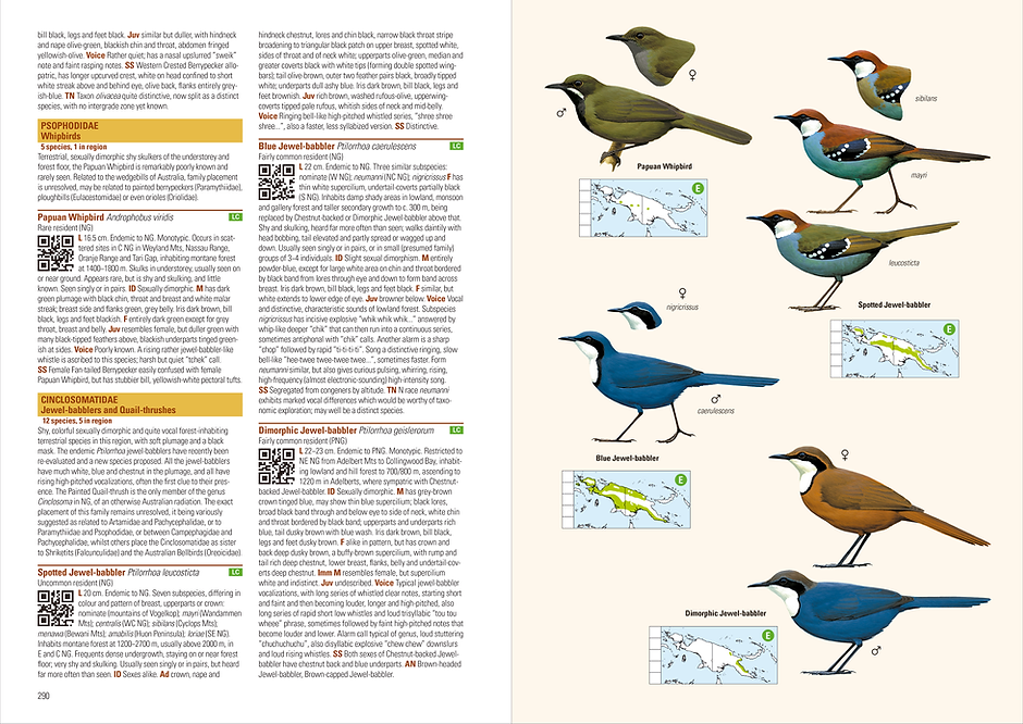 Birds of New_Guinea_2nd Ed_290-291.png