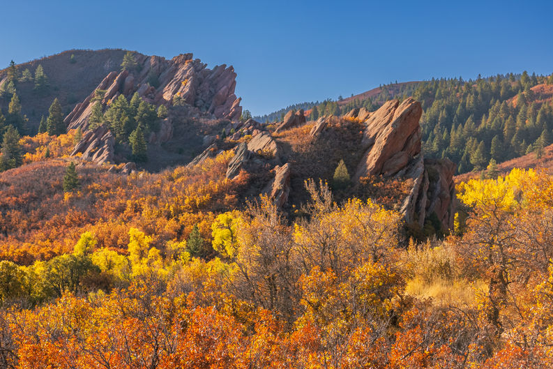 Red Rocks amongst autumn colors at Roxborough State Park, Colorado.