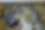 Saline.webp