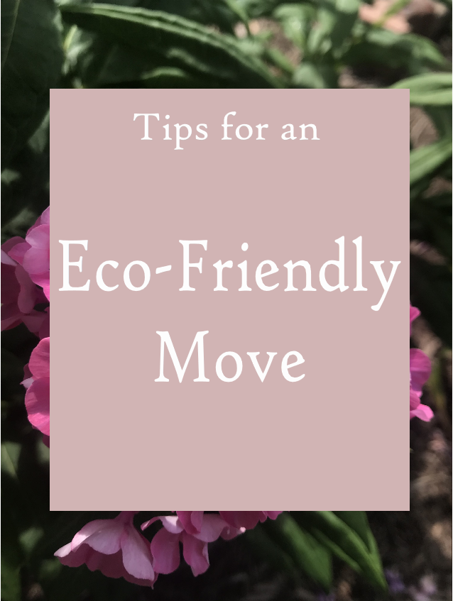 save money on an eco friendly move