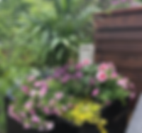 Screenshot 2026-03-26 at 1.08.42 PM.png