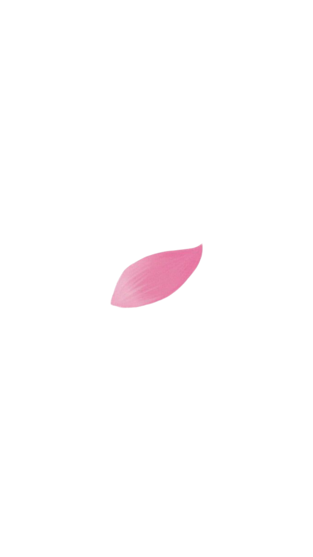 Untitled design (17).png