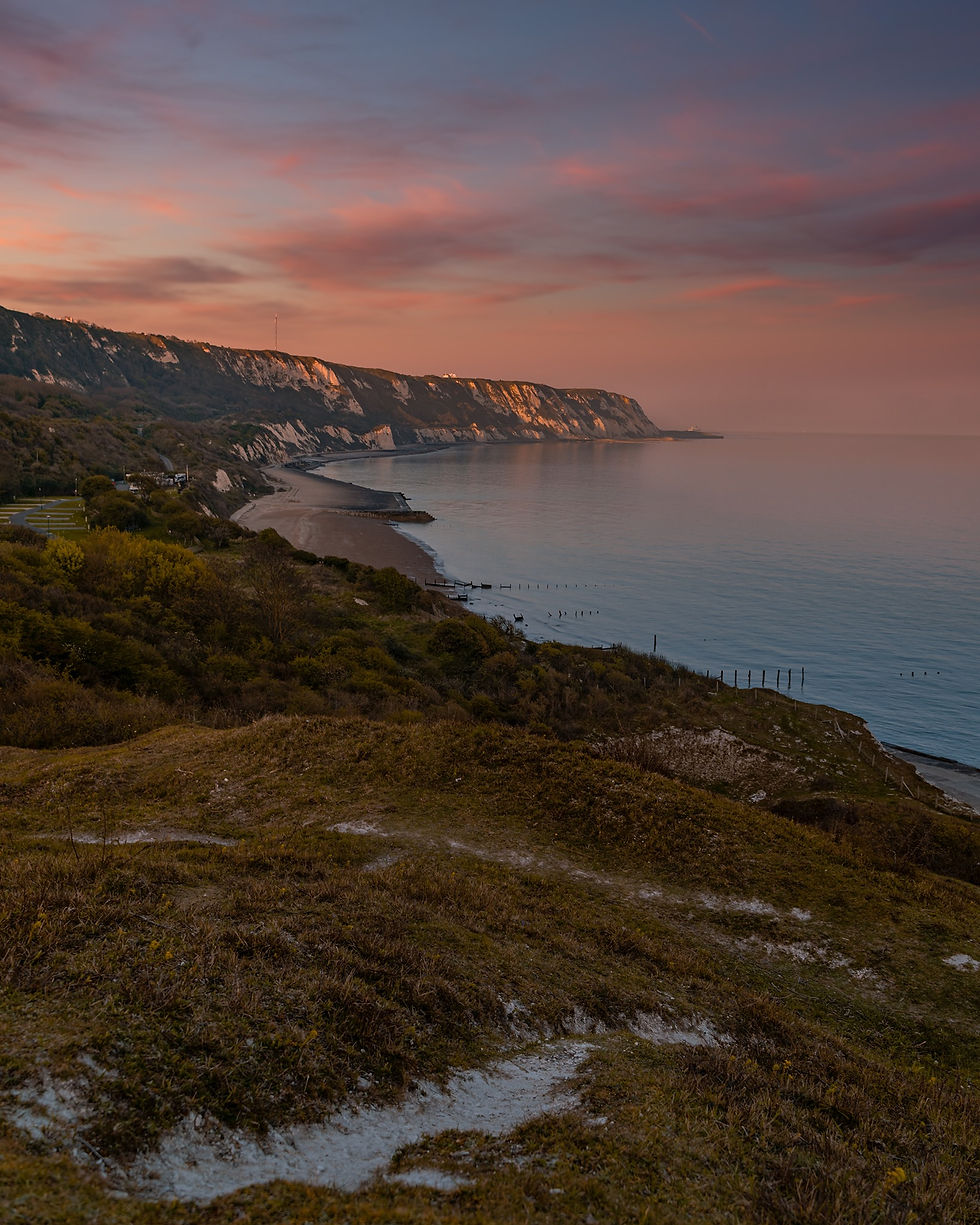 Folkestone Warren Site of Special Scientific Interest (SSSI)