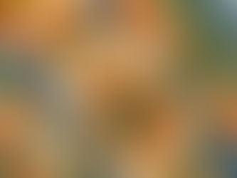 The myth and mystery of the Forbidden Stitch