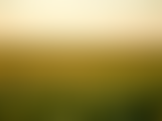 LA SEGUNDA. Seguro Multirriesgo Agrícola orientado a cubrir eventos Climáticos extremos