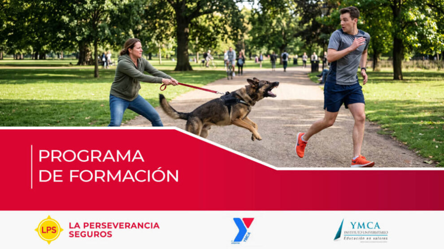 LPS. Responsabilidad Civil Aplicada: gratis online y con certificación universitaria