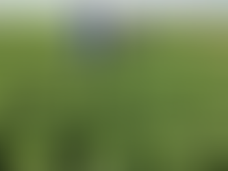 La Protección del Agro impulsa la regeneración del suelo argentino