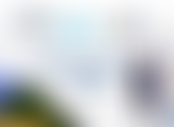 SSN. Seminario Regional de Supervisores de Seguros de América Latina ASSAL – IAIS