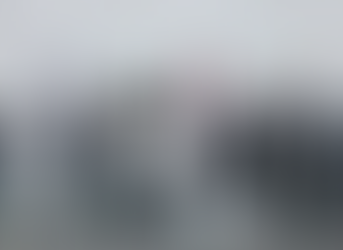 El Gobierno de Misiones y RUS presentaron el primer Seguro de protección de Yaguareté del mundo