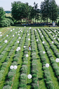 la maison lavande, 10 ans, balloons, ballons, montreal balloons, lavender field, ballöom