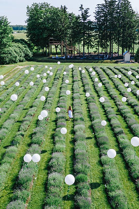 la maison lavande, 10 ans, balloons, ballons, montreal balloons, lavender field, ballöom