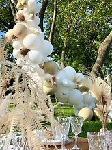 picnic, montreal, luxury balloons, ballöom