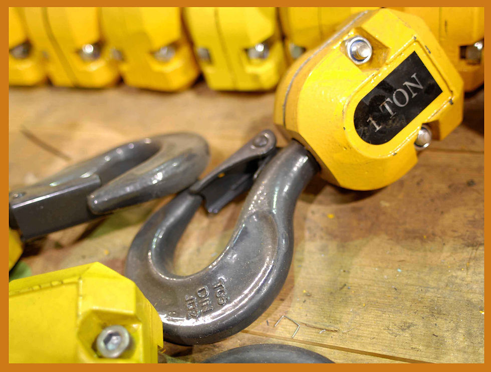 Lifting lugs & Crane hooks