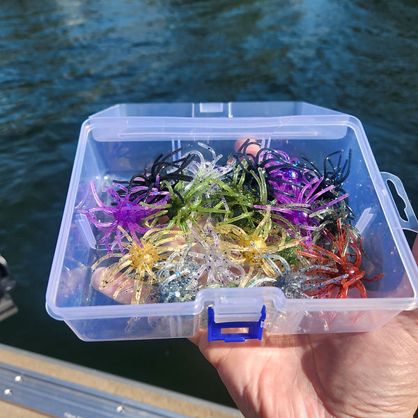 Shop | BIGG Mouth Fishing