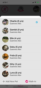 IMG_AA338BB744E2-1.jpeg