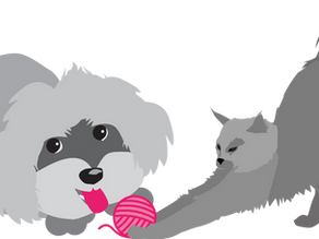 Post-Pandemic Pet Behavioral Problems to Watch Out for, According to a Veterinary Behaviorist