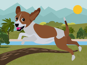 Sustainable Pet Care: How to Reduce Your Carbon Pawprint