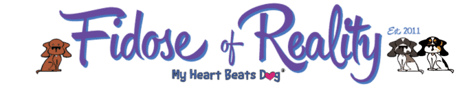header-for-blog-2022.webp
