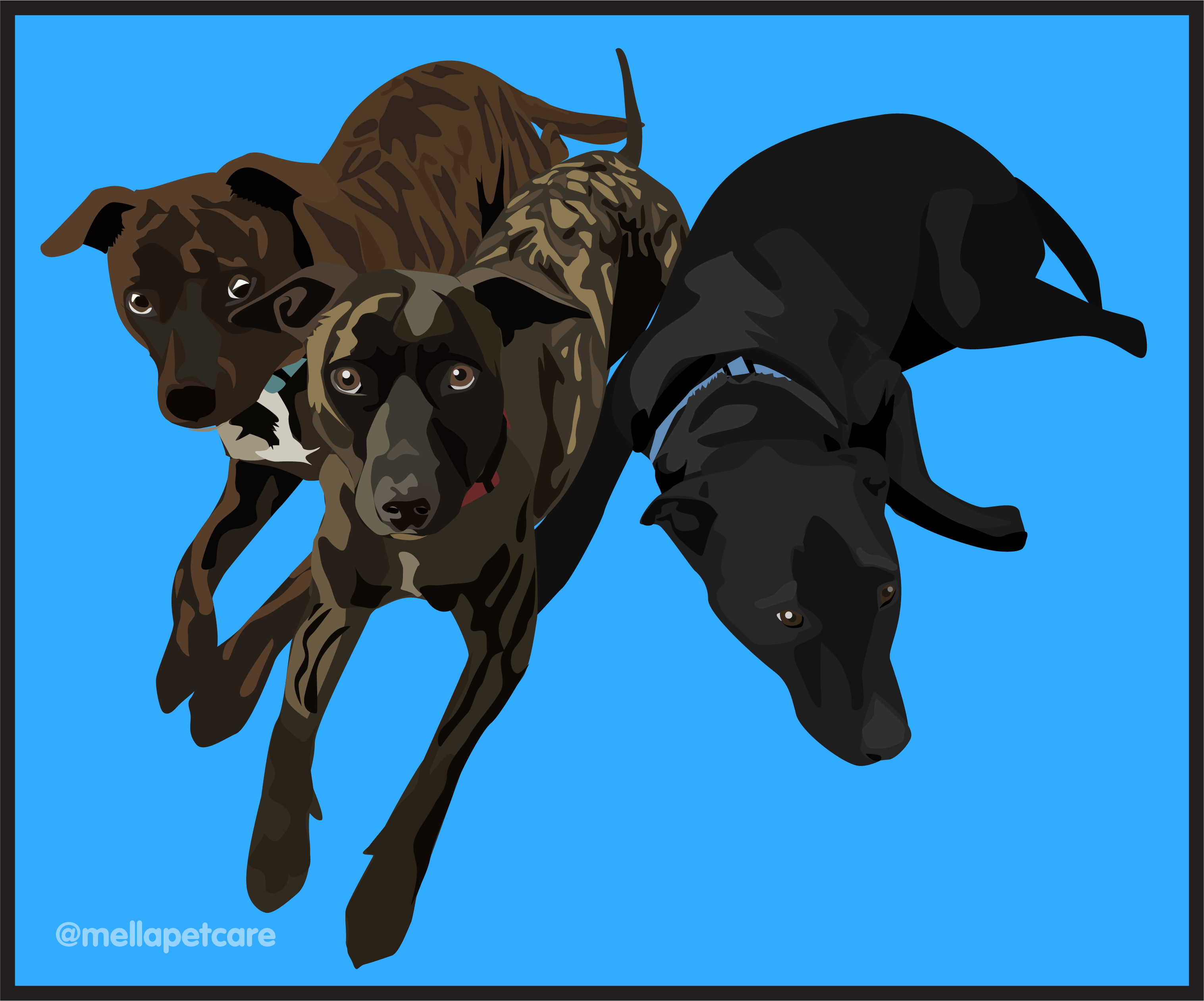 BAILEY, PUERTO AND RICO