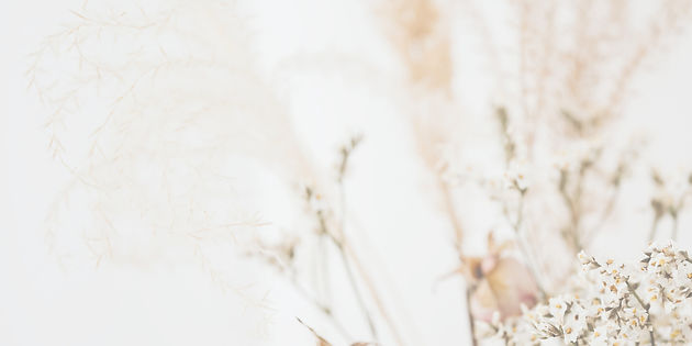 Background Poulet Braisé