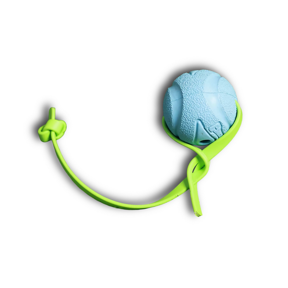 Thumbnail: MOJO Chuck it Tug Ball - Large