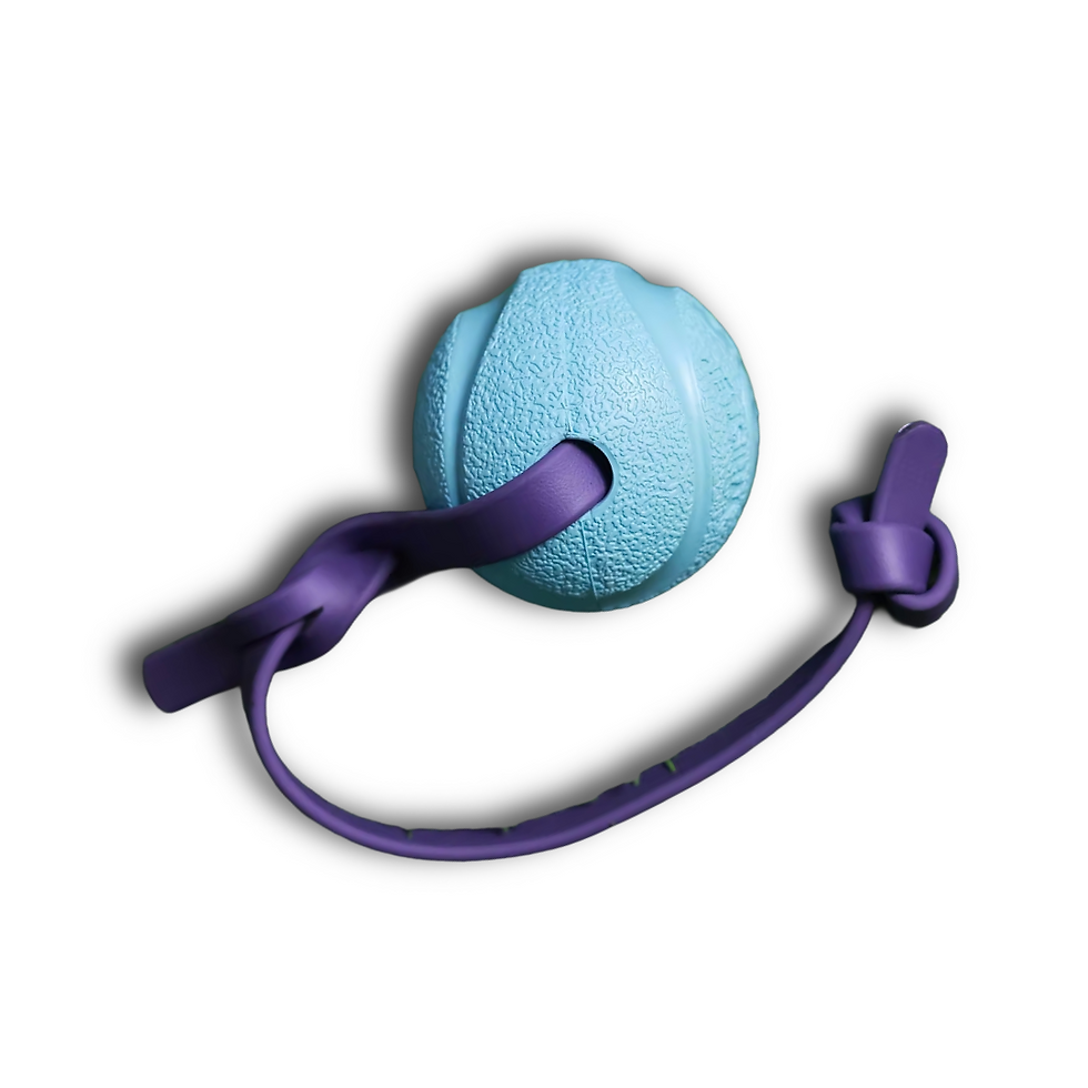 Thumbnail: MOJO Chuck it Tug Ball - Large