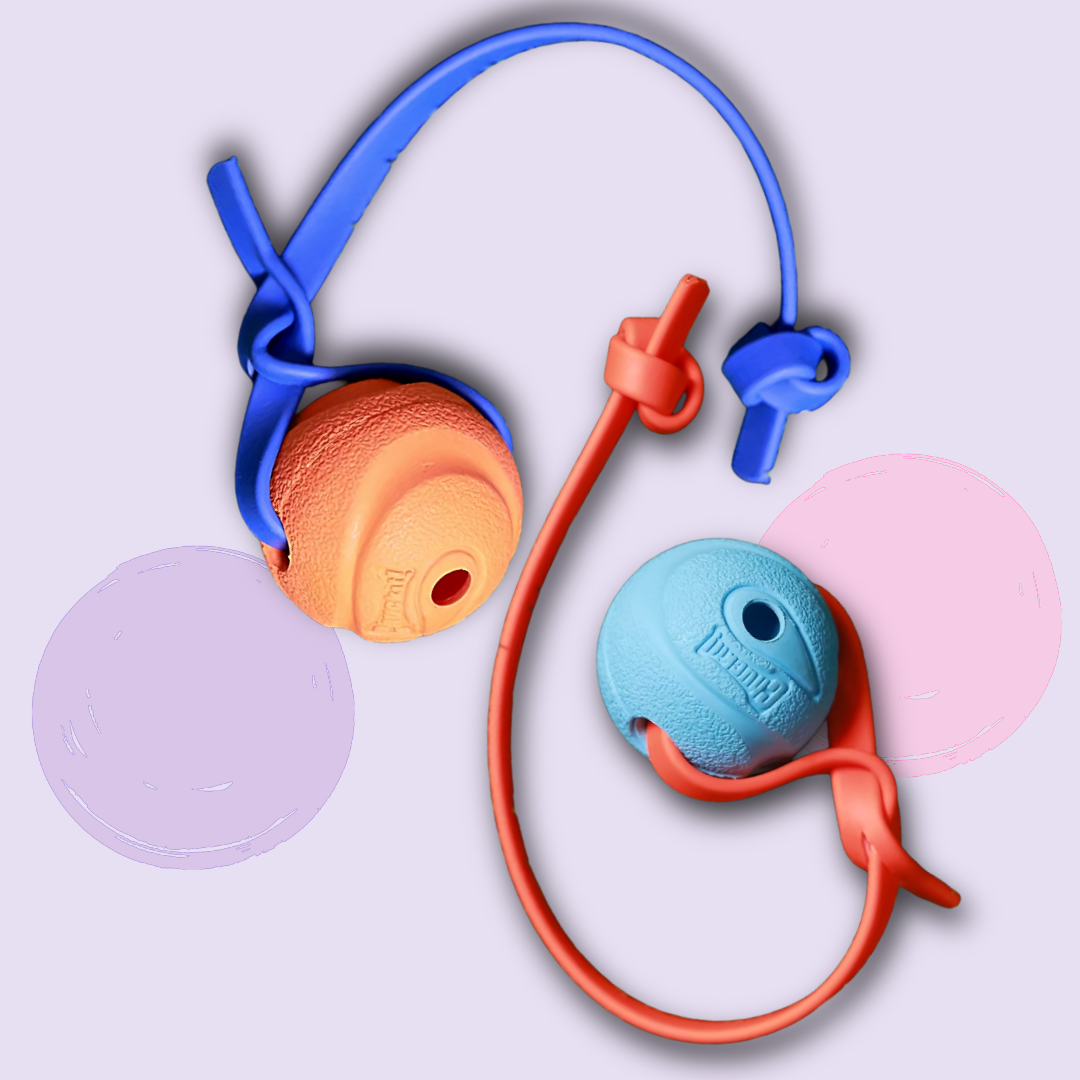 MOJO Chuck it Tug Ball - Small
