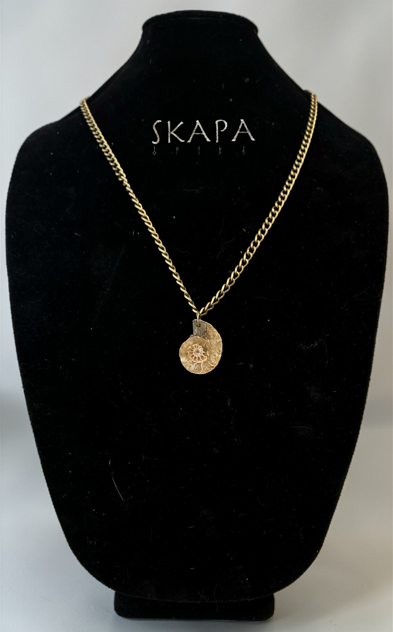 chain necklace with natural ammonite fossil pendant on black jewelry bust