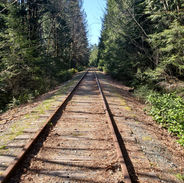 dominant line