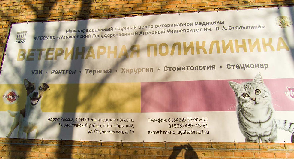 Ветеринарная поликлиника УлГАУ (Ульяновского государственного аграрного университета)
