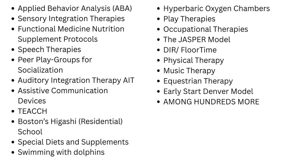 A list of autism therapy options including Applied Behavior Analysis (ABA)
Sensory Integration Therapies
Functional Medicine Nutrition Supplement Protocols
Speech Therapies
Peer Play-Groups for Socialization
Auditory Integration Therapy AIT
Assistive Communication Devices
TEACCH
Boston’s Higashi (Residential) School
Special Diets and Supplements
Swimming with dolphins
Hyperbaric Oxygen Chambers
Play Therapies
Occupational Therapies
The JASPER Model
DIR/ FloorTime
Physical Therapy
Music Therapy
Equestrian Therapy
Early Start Denver Model
AMONG HUNDREDS MORE
