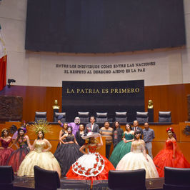 Camara de cenadores de mexico
