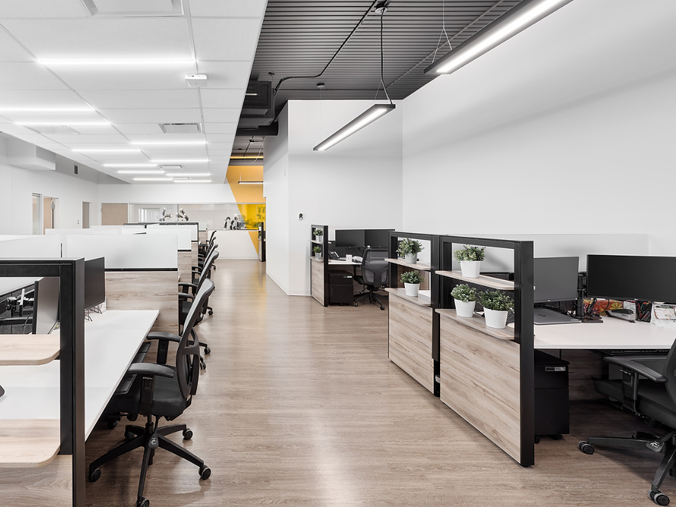 Modern open office with rows of desks and black office chairs, light wood partitions with built-in shelves holding small potted plants, a mix of drop ceiling and exposed slatted ceiling with linear pendant lights, and a yellow accent wall in the distance.