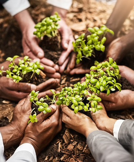teamwork-success-business-professionals-planting-2026-03-25-07-42-29-utc.jpg