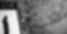 HL-VINCENT-WARTNER-bandeau.jpg
