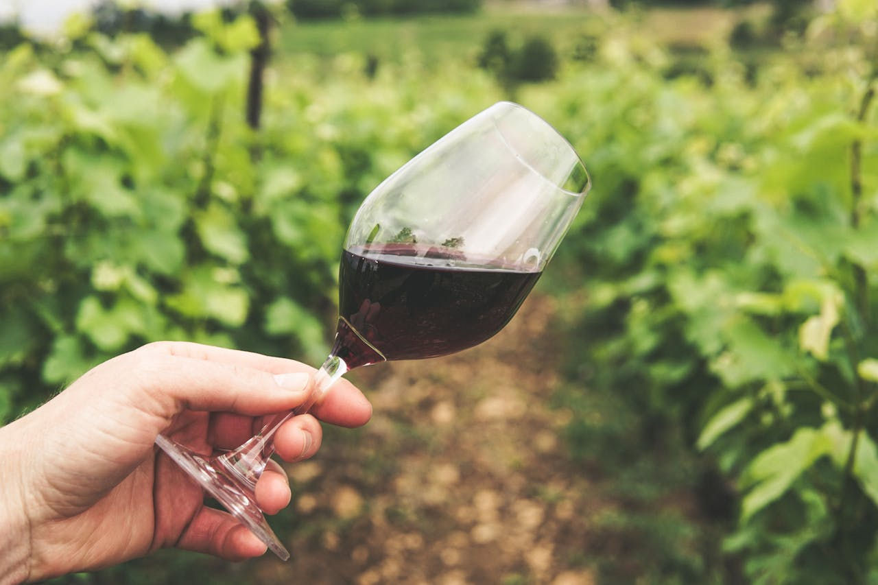 Hen party activity : wine testing in burgondy
