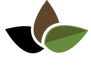 TeaLeaves_Logo.png