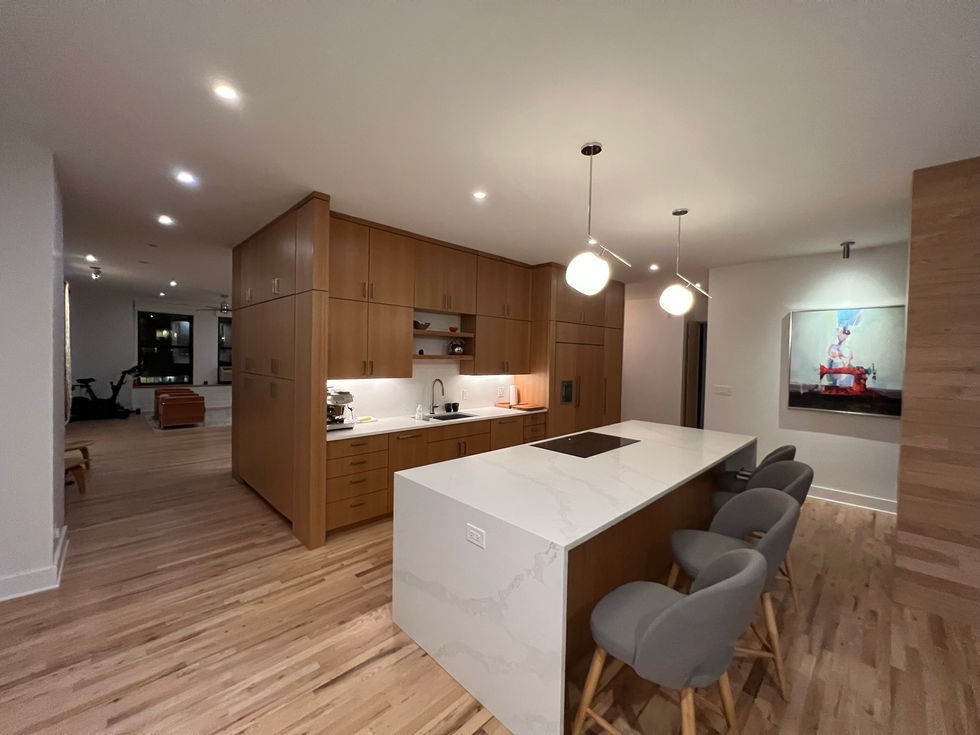 Chicago Condo Renovation