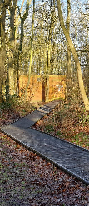 Bird Hide at Thornham Walks