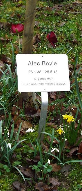 Memorial Tree at Thornham Walks
