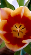Bild-3.png